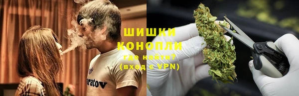 дживик Майский