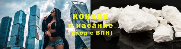 дживик Майский