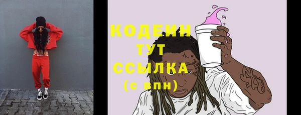дживик Майский
