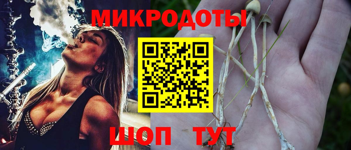 Псилоцибиновые грибы мицелий  закладки  Саки 