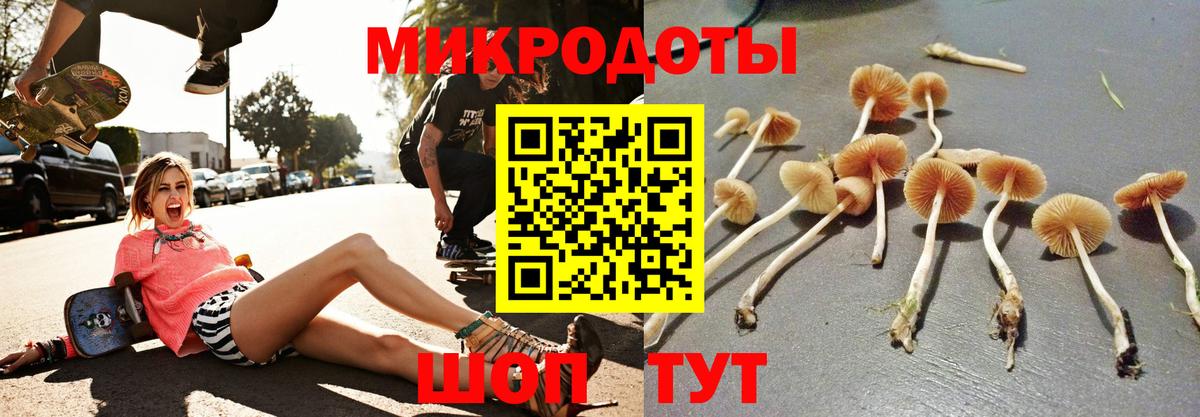 Галлюциногенные грибы прущие грибы  купить  цена  Саки  Вход с VPN 